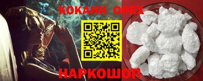 гашик Донской