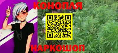 гашик Донской