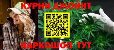 гашик Донской