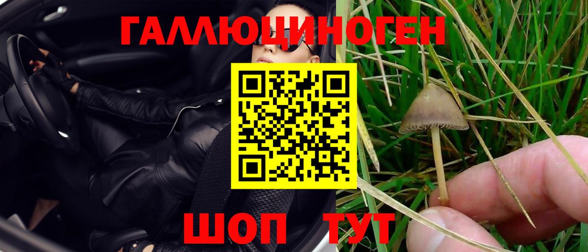 Галлюциногенные грибы Magic Shrooms  Вход с VPN  Керчь 