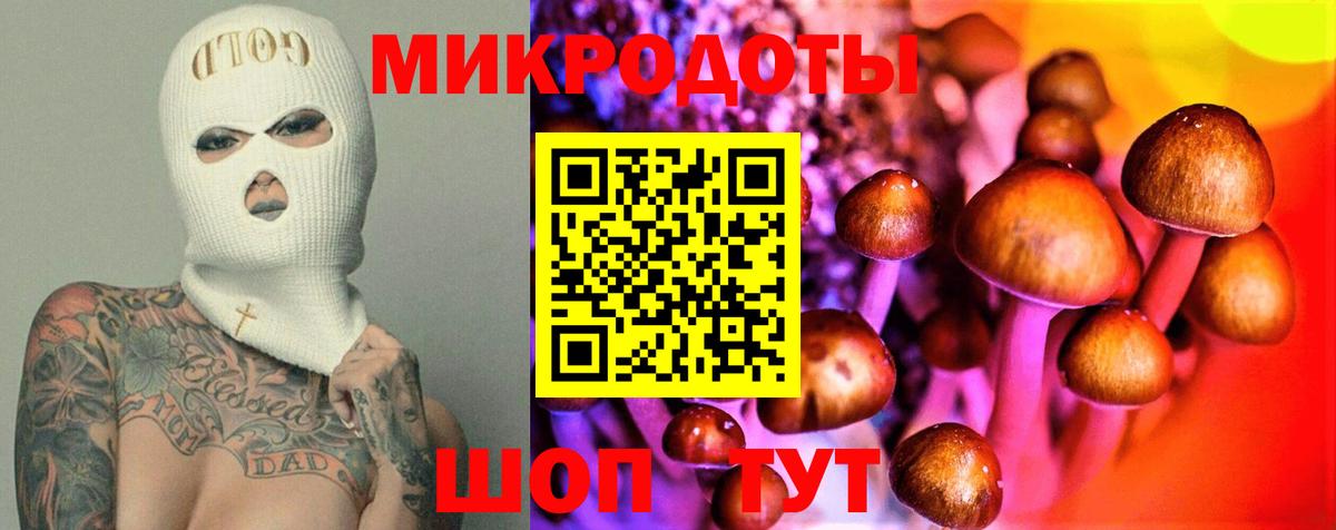Псилоцибиновые грибы Psilocybine cubensis Керчь